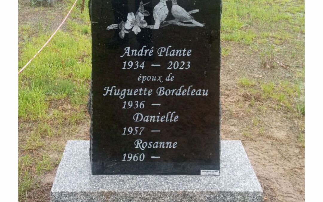 Impact 13 – Plante