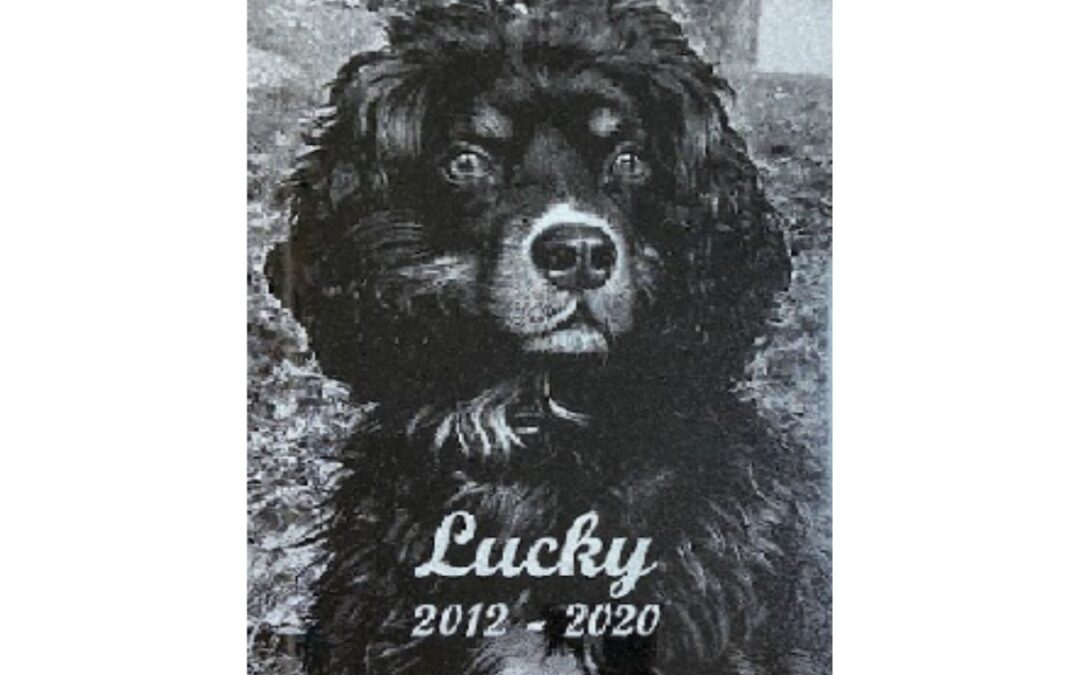 Animal souvenir plaque
